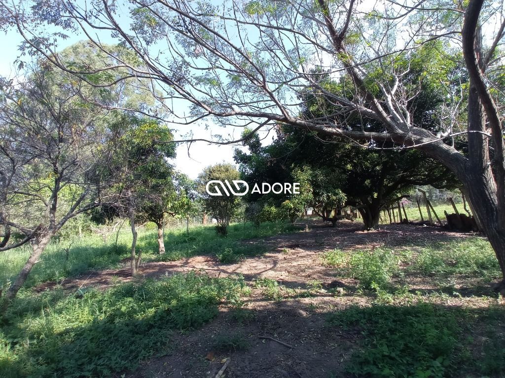 Fazenda à venda com 3 quartos, 400m² - Foto 5