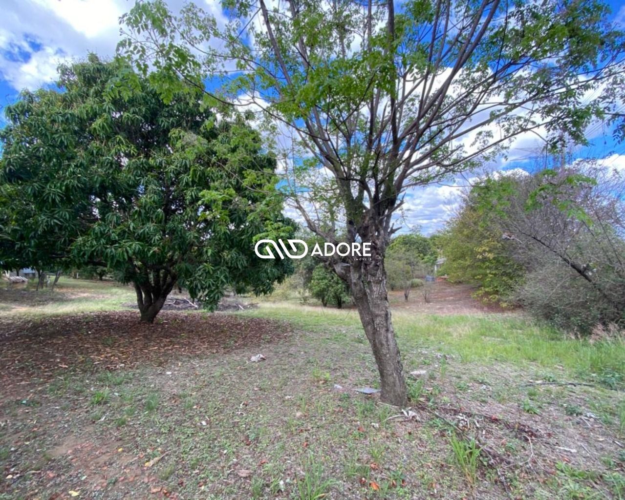 Fazenda à venda com 1 quarto, 6000m² - Foto 11