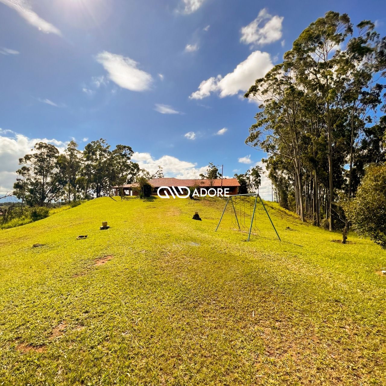 Fazenda à venda com 5 quartos, 5500m² - Foto 12