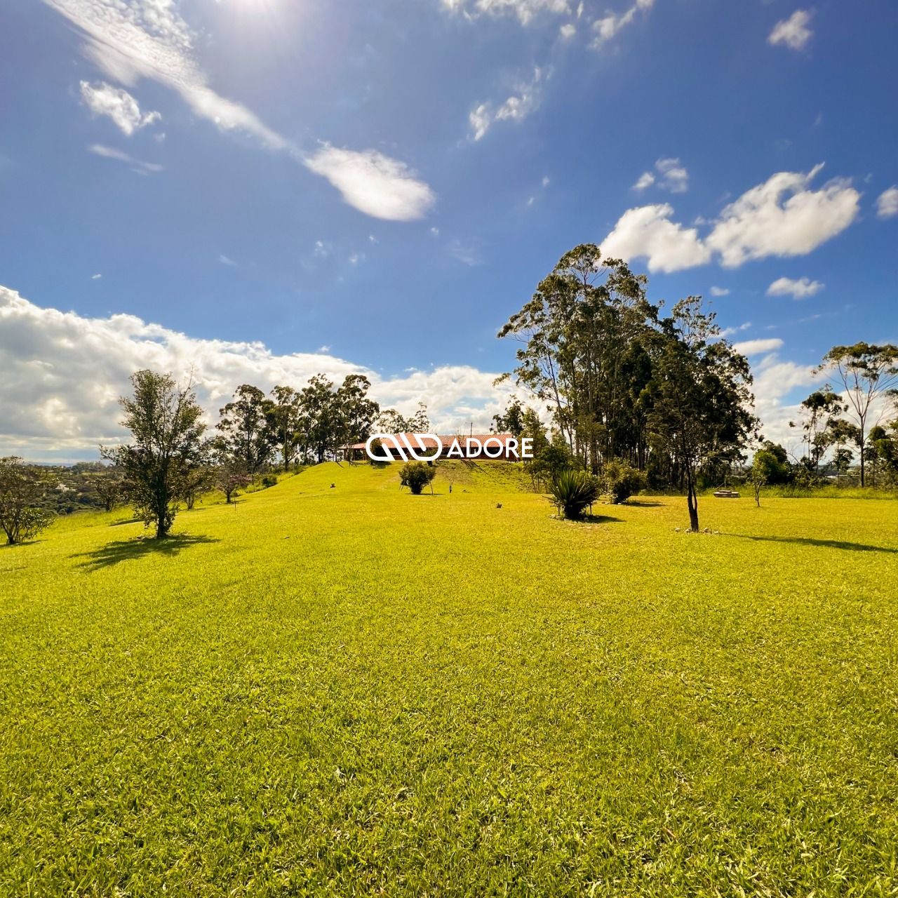 Fazenda à venda com 5 quartos, 5500m² - Foto 52