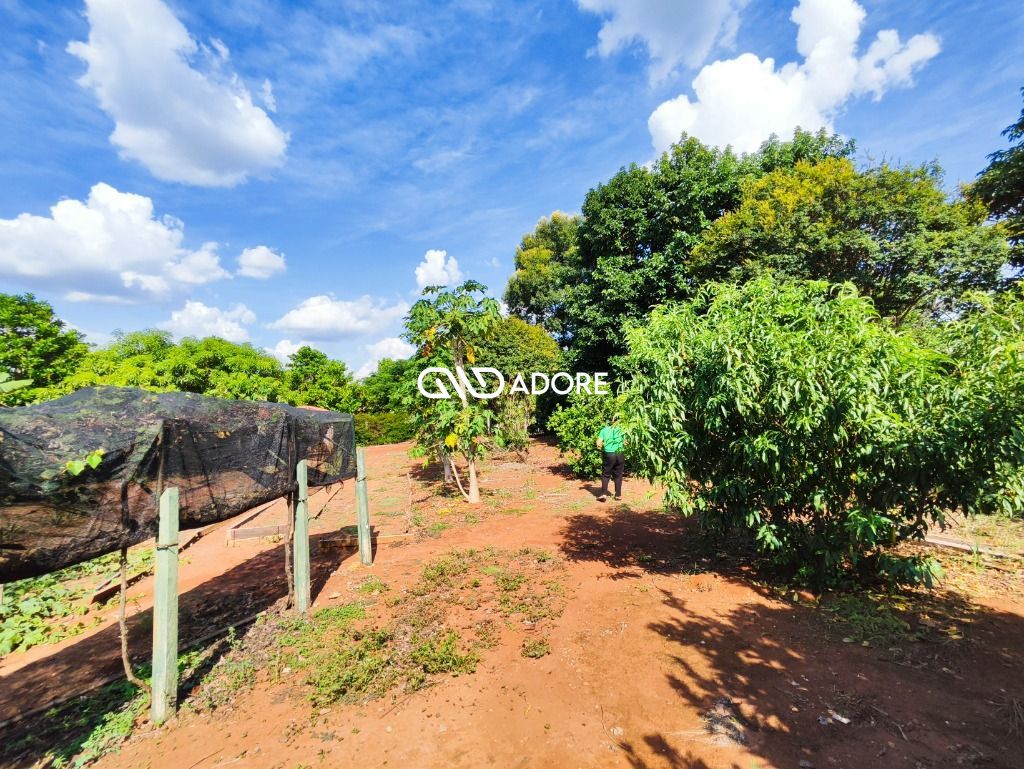 Terreno à venda, 1000m² - Foto 4