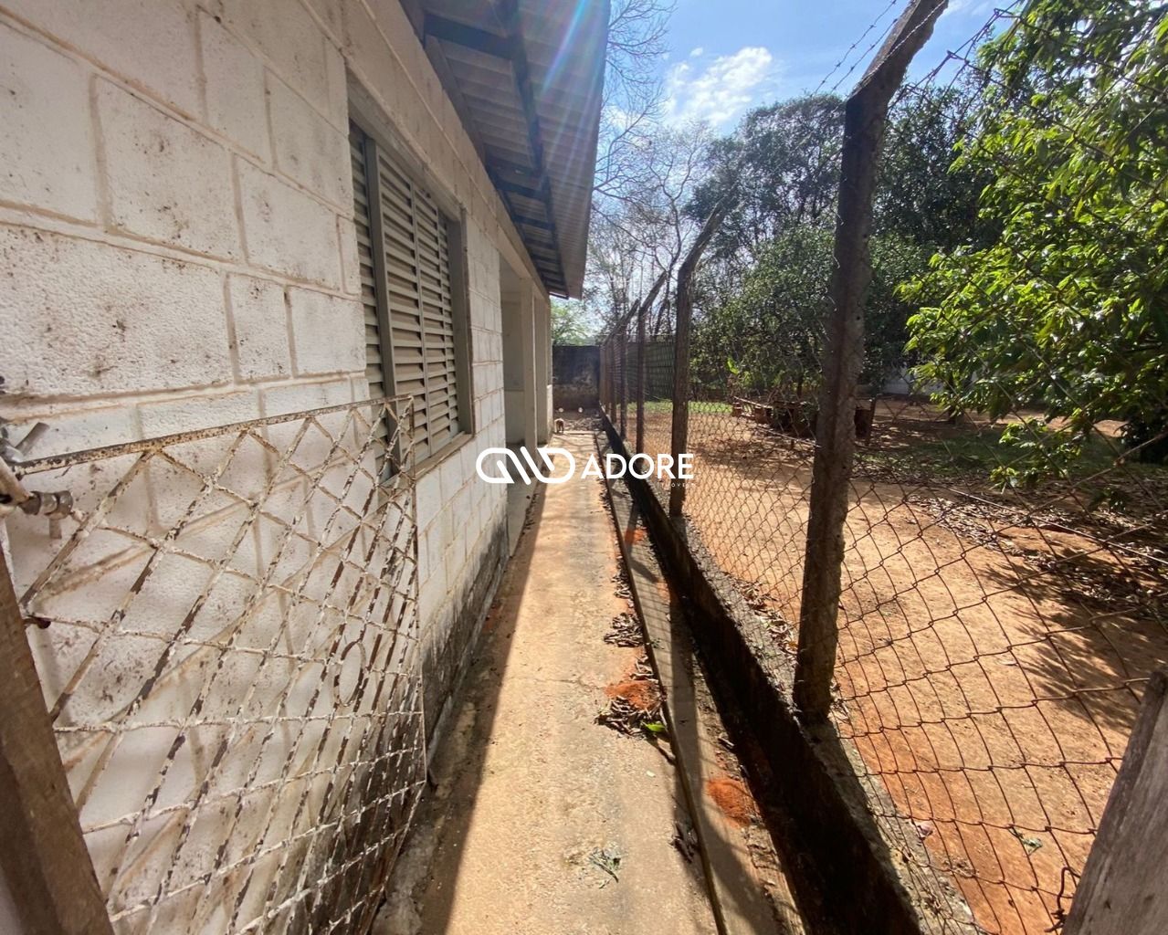 Fazenda à venda com 4 quartos, 2507m² - Foto 10