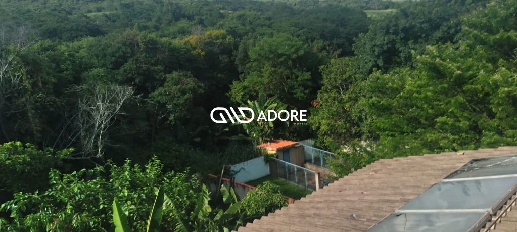 Fazenda à venda com 4 quartos, 300m² - Foto 36