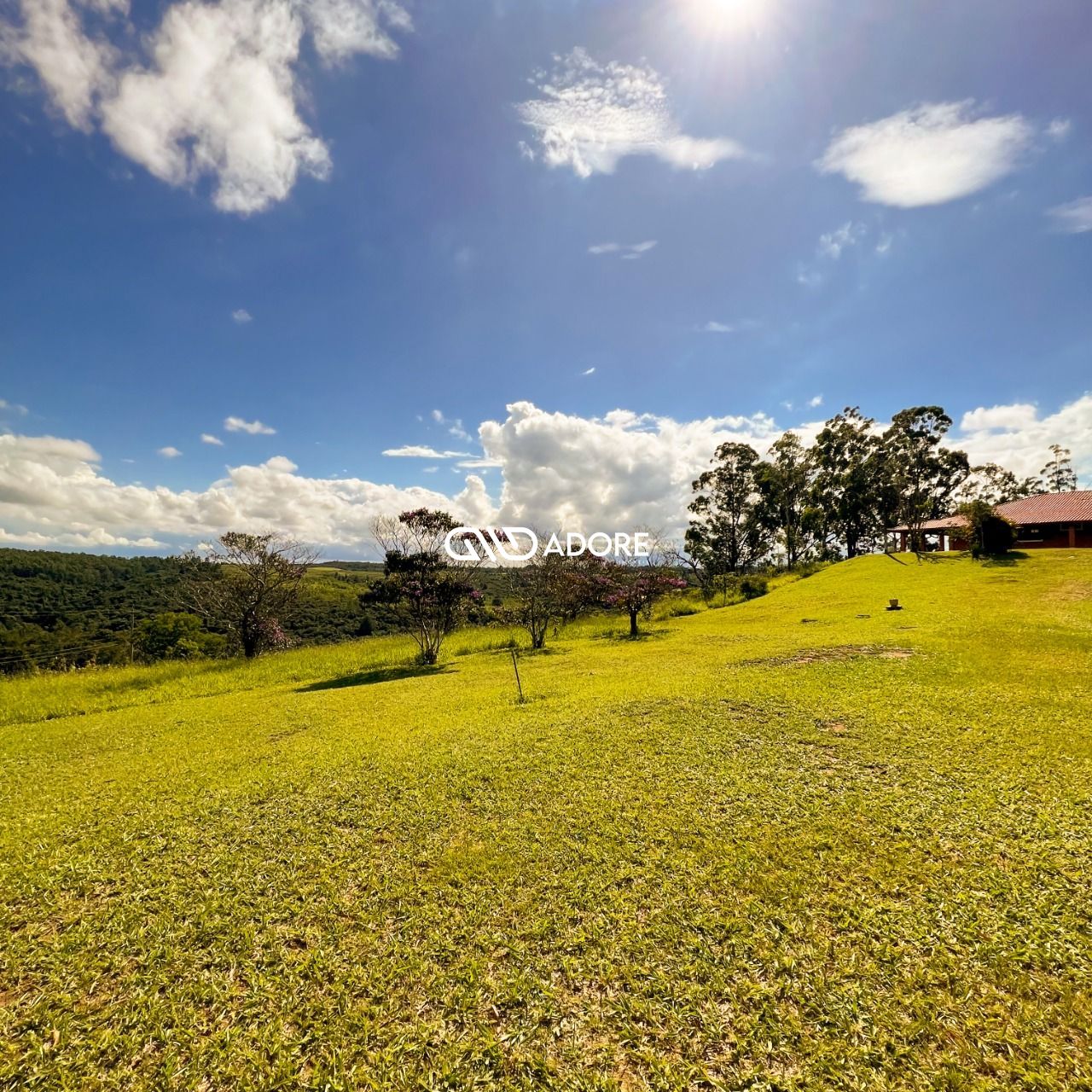 Fazenda à venda com 5 quartos, 5500m² - Foto 10