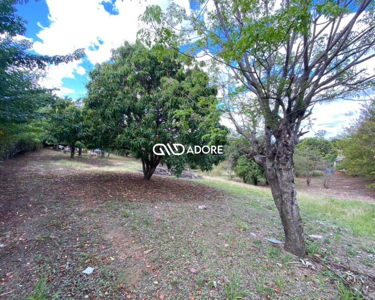 Fazenda à venda com 1 quarto, 6000m² - Foto 1