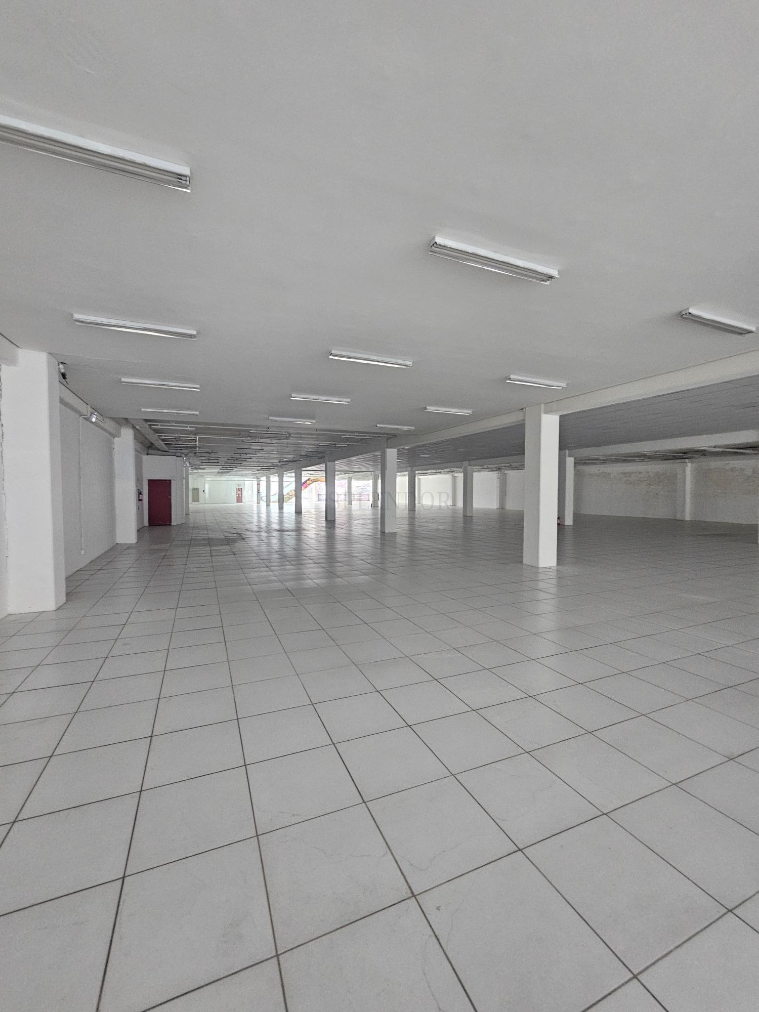Sala-Conjunto, 1863 m² - Foto 29