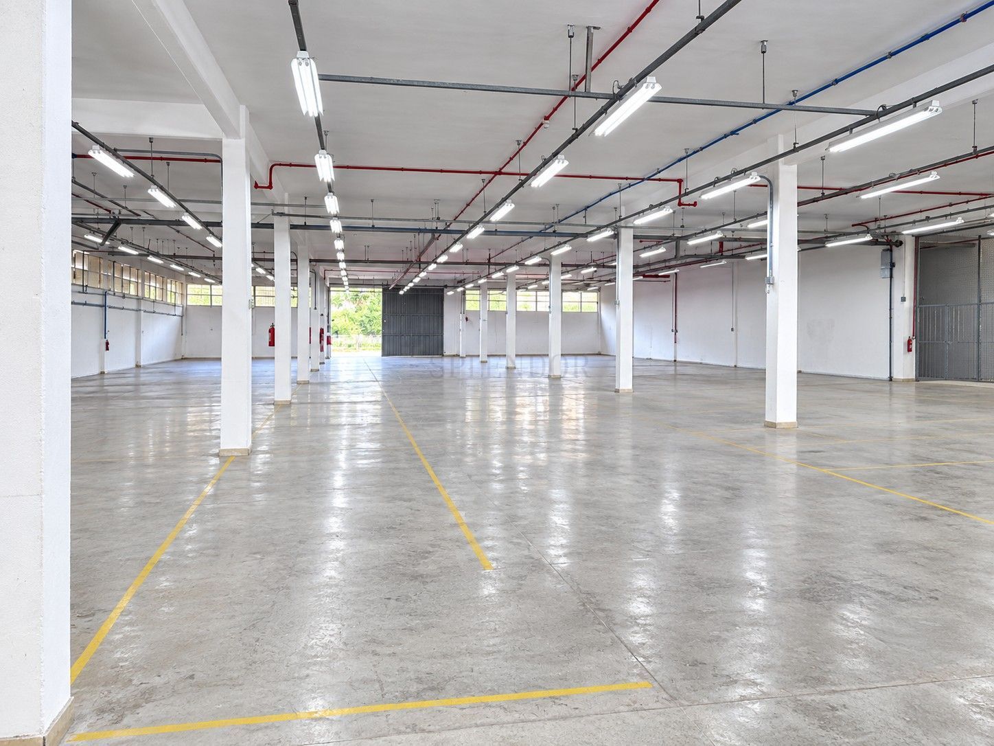 Depósito-Galpão, 1000 m² - Foto 12