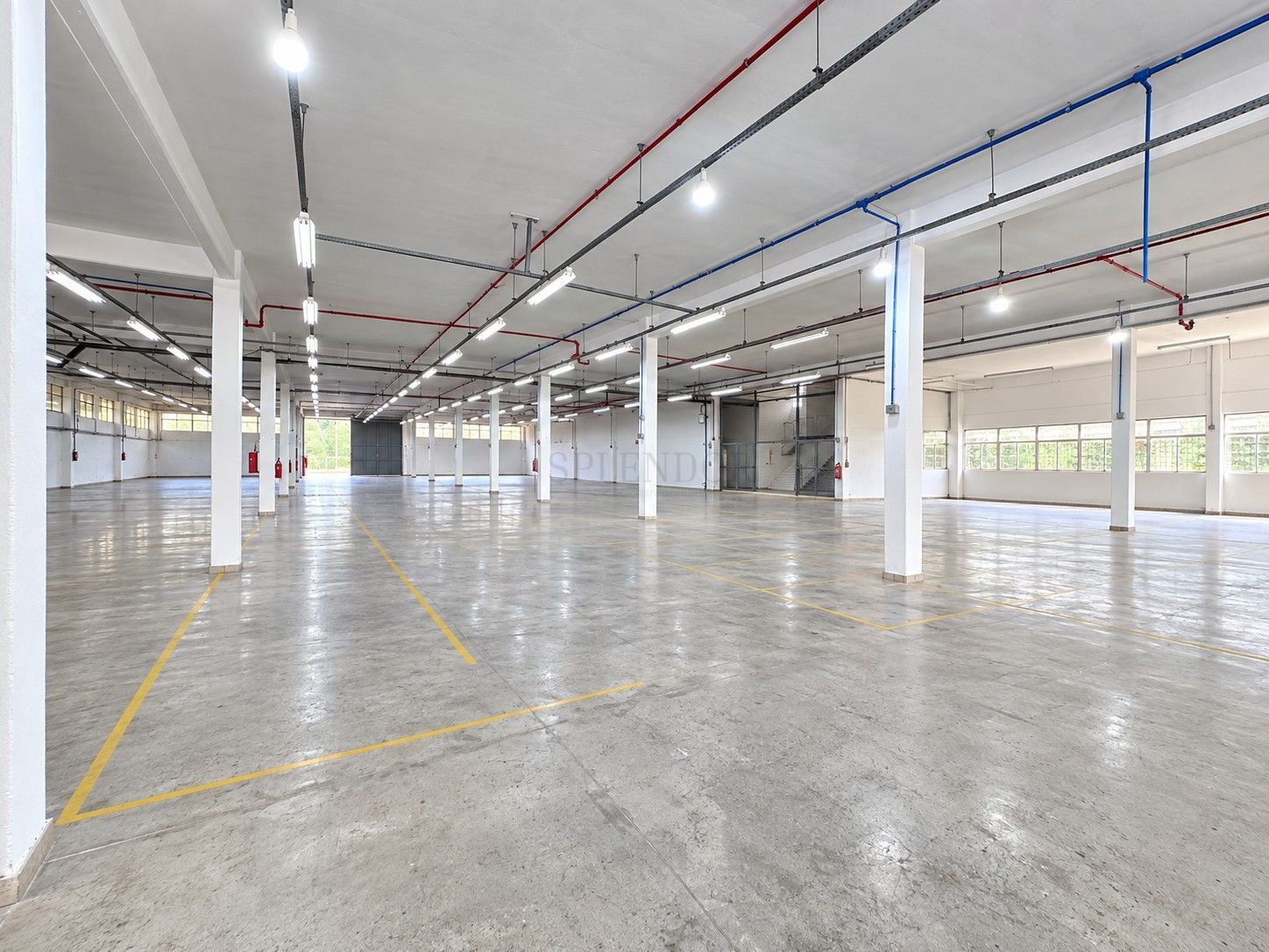 Depósito-Galpão, 1000 m² - Foto 13