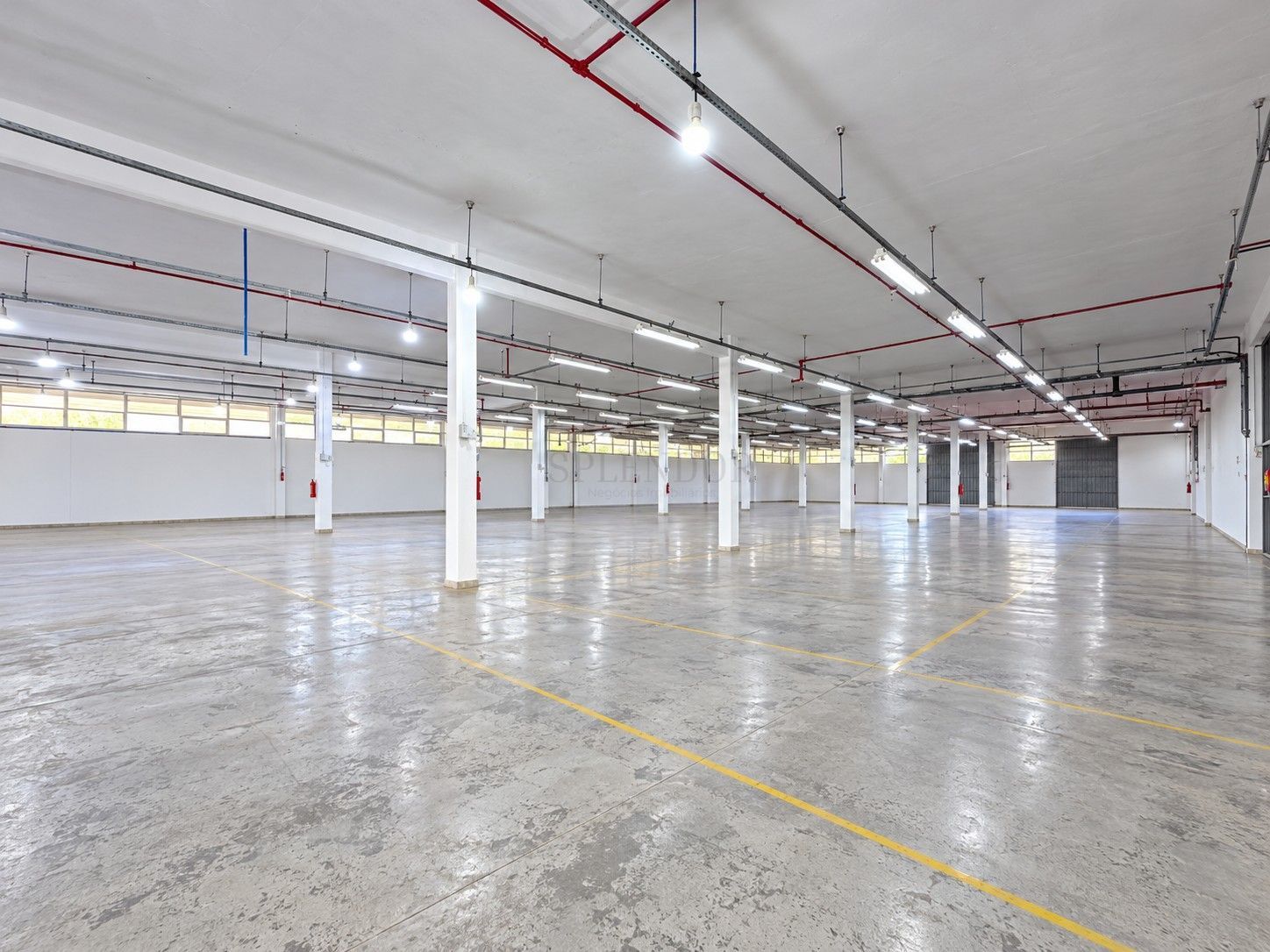 Depósito-Galpão, 1000 m² - Foto 14