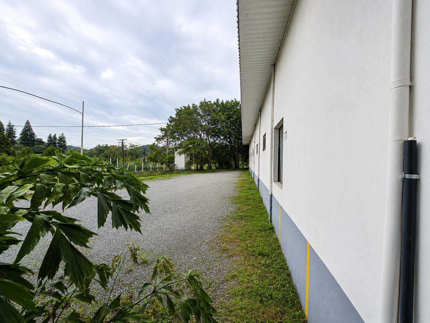 Depósito-Galpão, 2000 m² - Foto 6