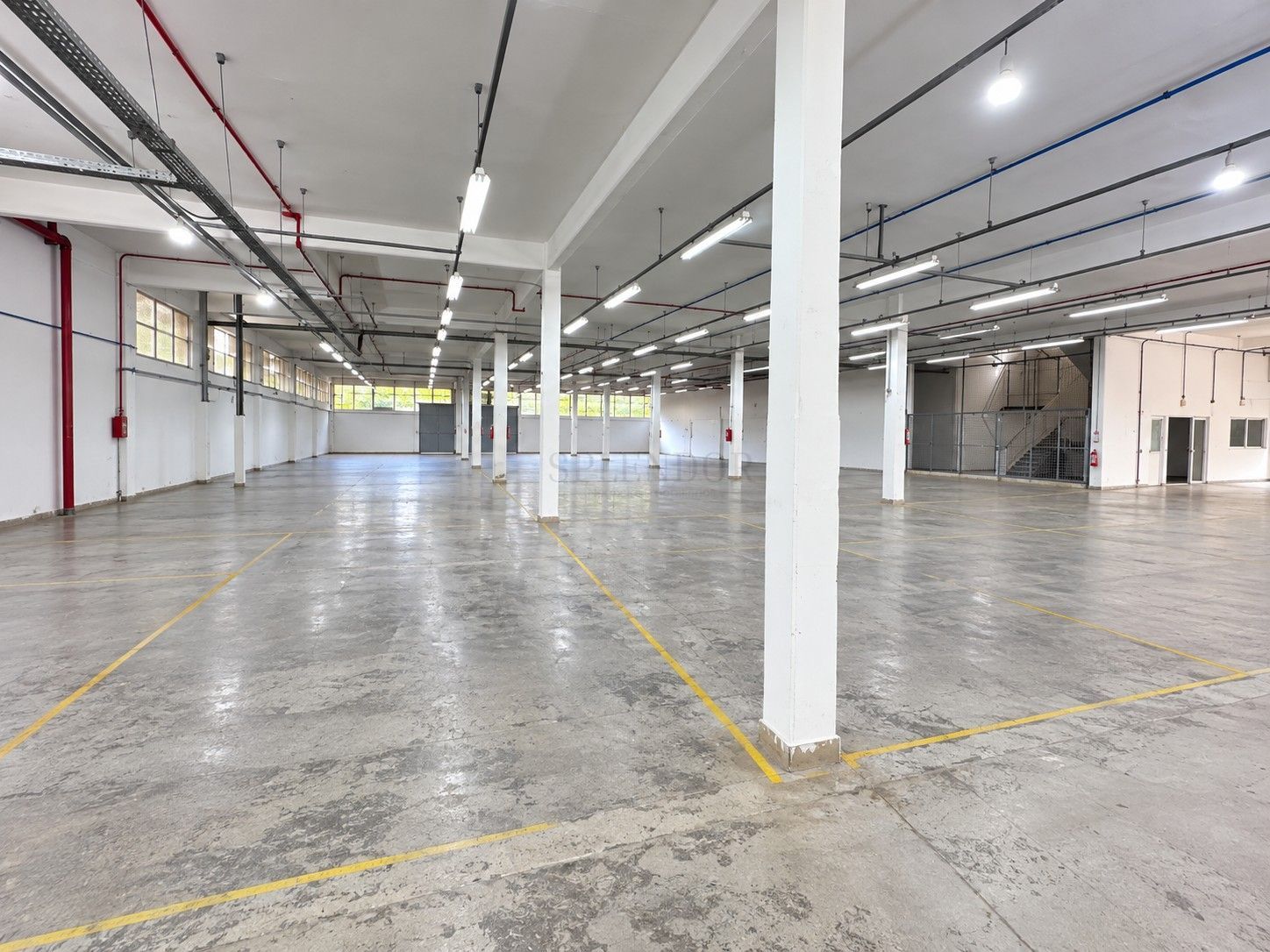 Depósito-Galpão, 1000 m² - Foto 16