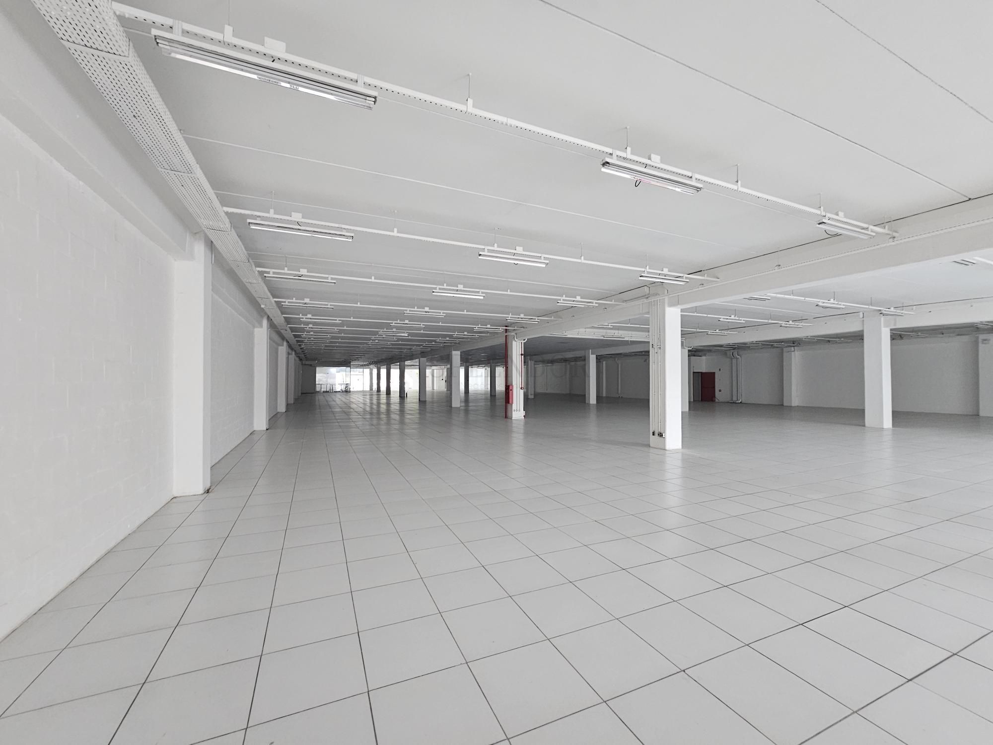 Sala-Conjunto, 1863 m² - Foto 13