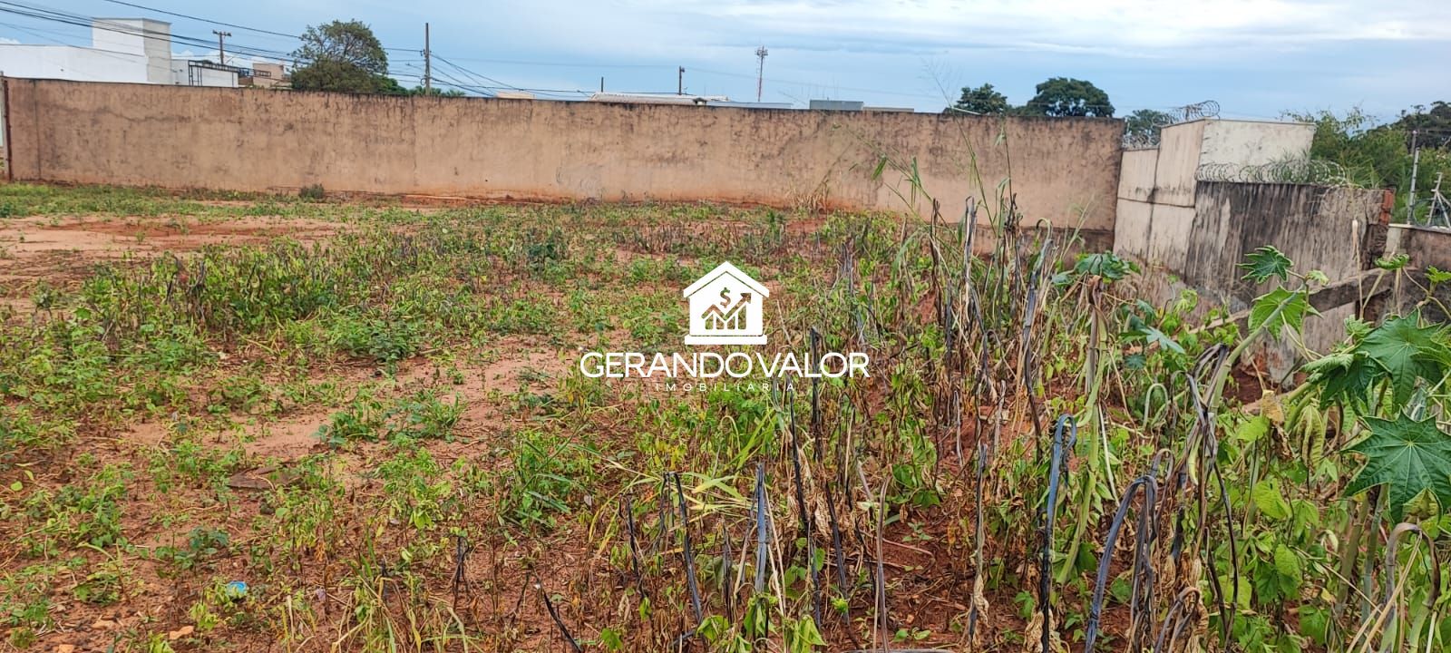 imóvel à venda em Campo Grande MS - foto 3