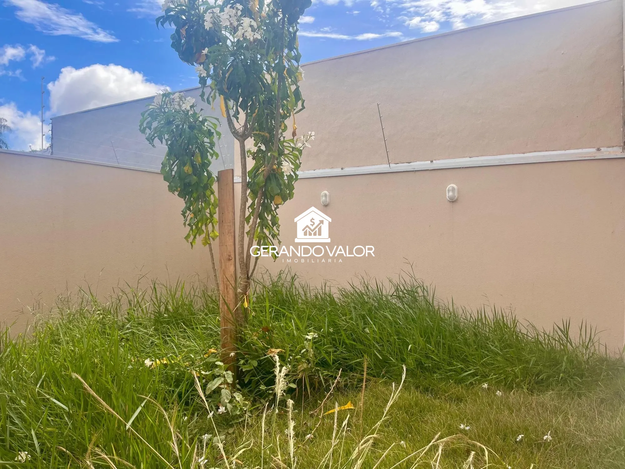 imóvel à venda em Campo Grande MS - foto 19