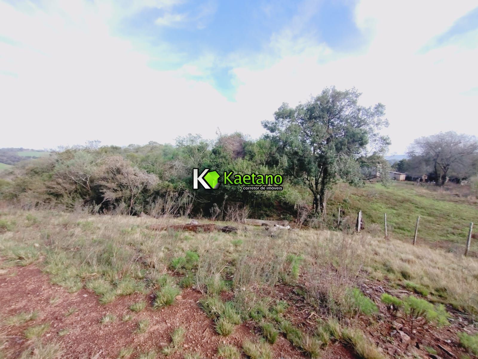 Chácara, 3 quartos, 10000 m² - Foto 17