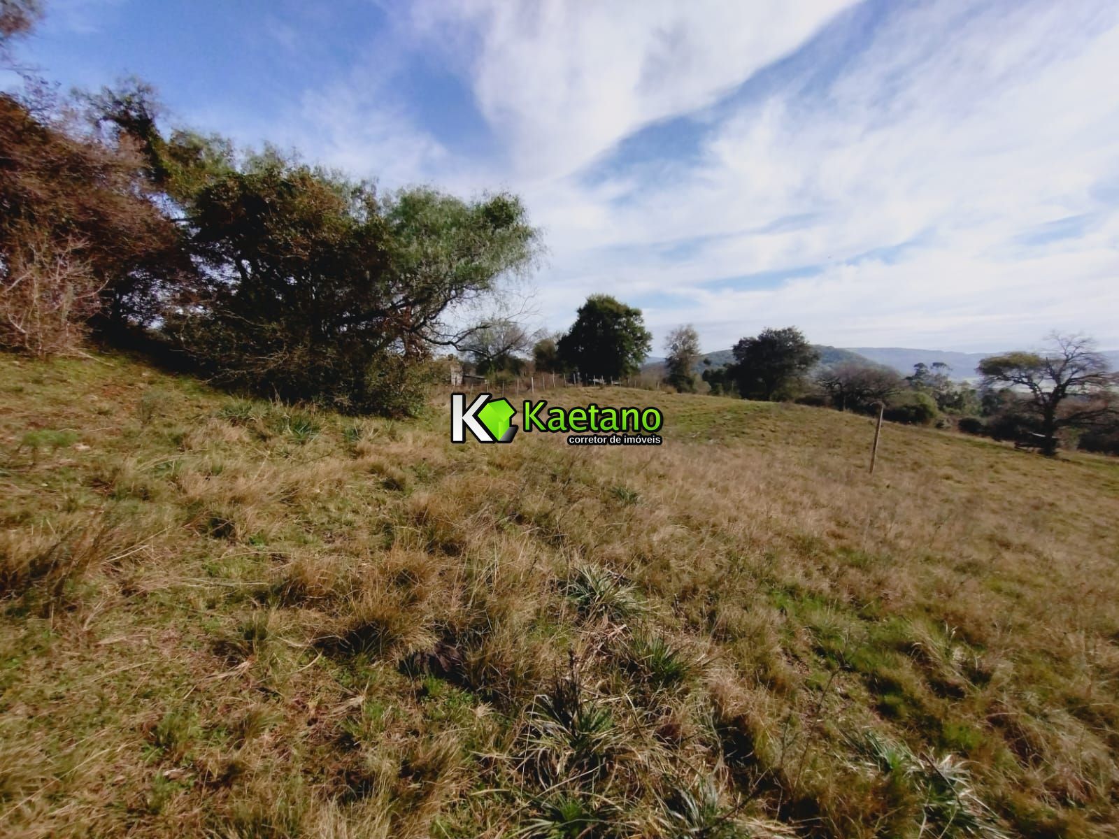 Chácara, 3 quartos, 10000 m² - Foto 16