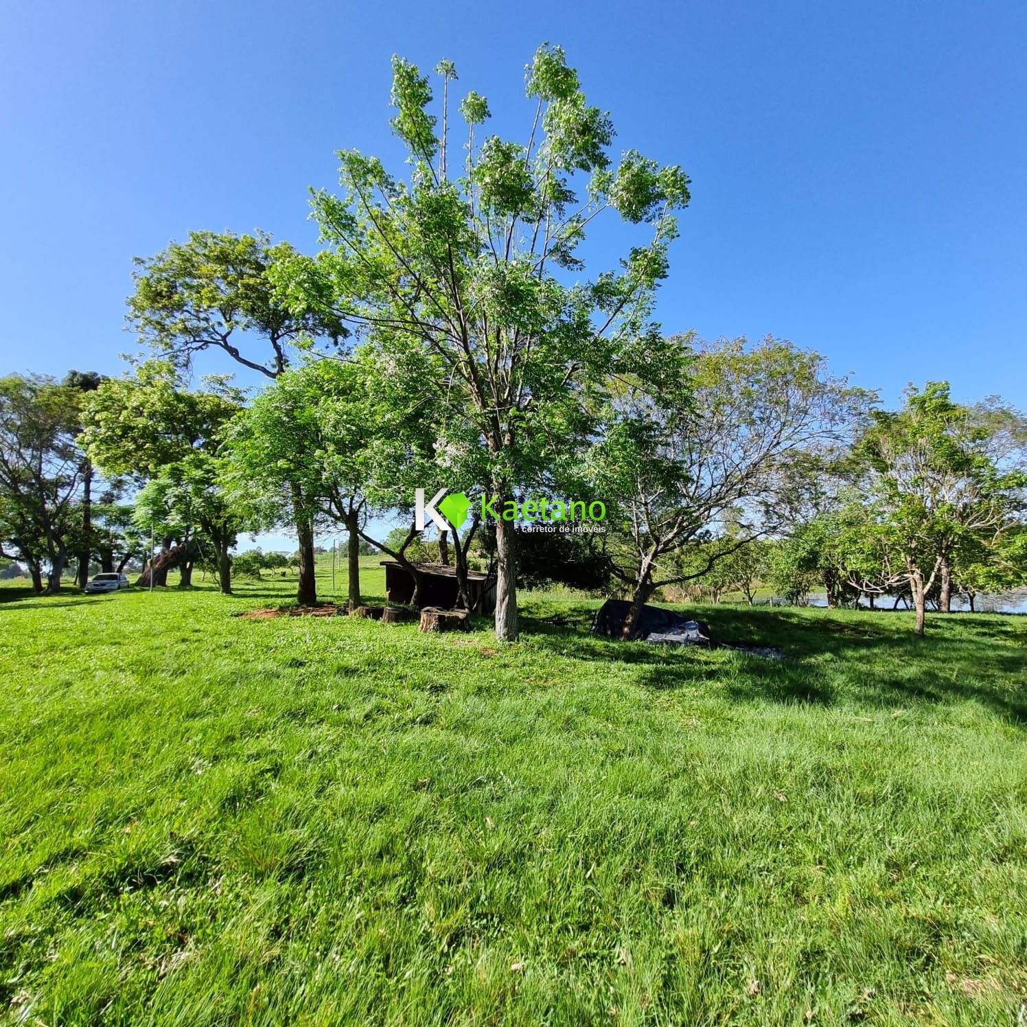 Fazenda à venda com 5 quartos, 200m² - Foto 17