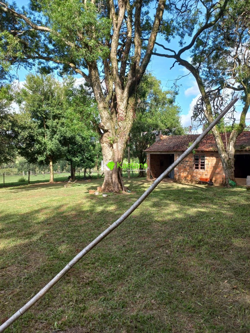 Fazenda à venda com 2 quartos, 100m² - Foto 21