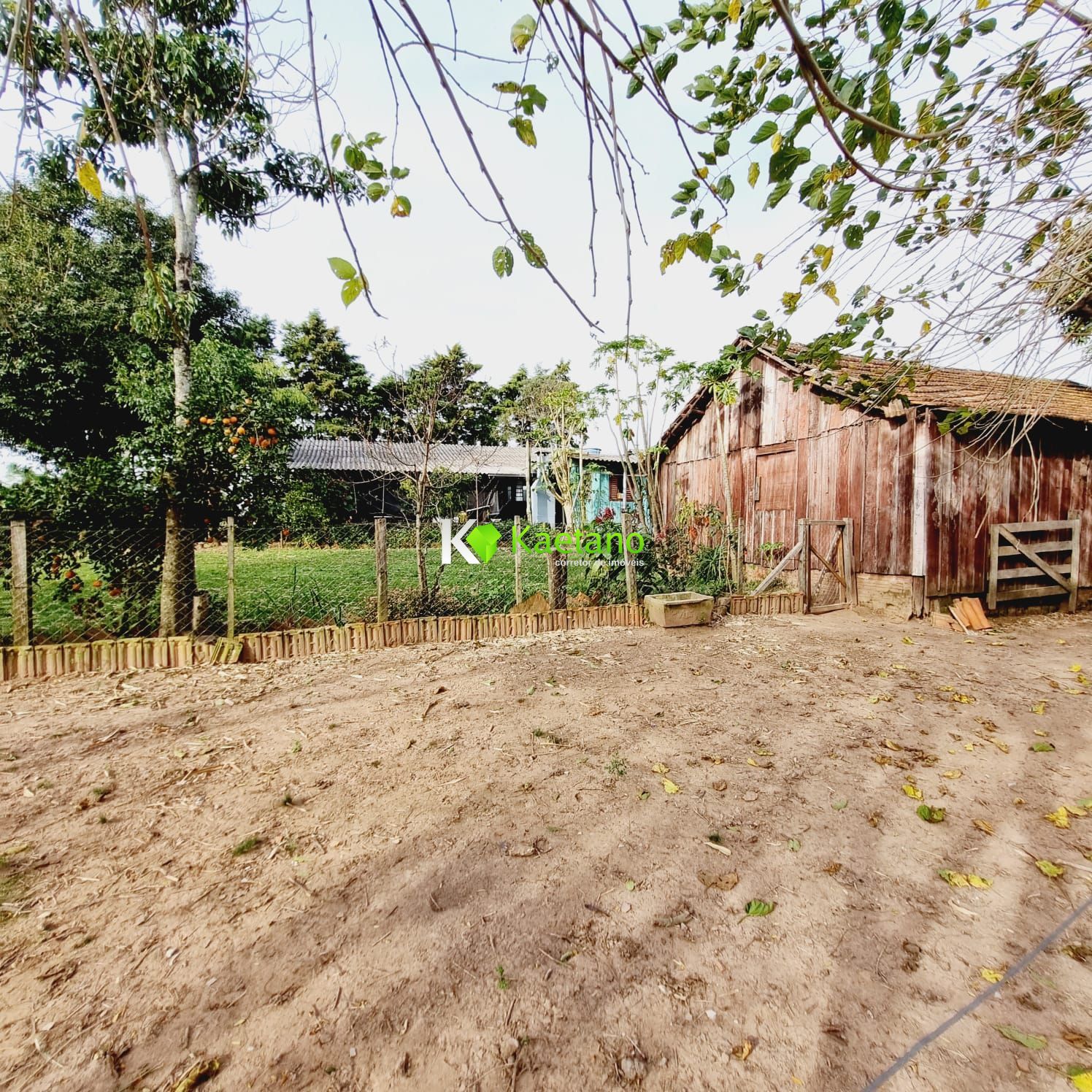 Fazenda à venda com 3 quartos, 120m² - Foto 14