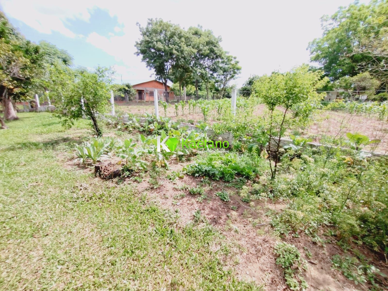 Fazenda à venda com 2 quartos, 100m² - Foto 16