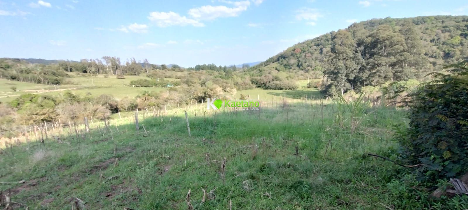 Fazenda à venda com 2 quartos, 50000m² - Foto 15