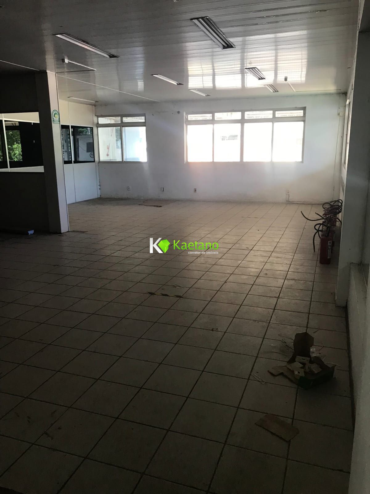 Depósito-Galpão-Armazém à venda com 3 quartos, 3619m² - Foto 13