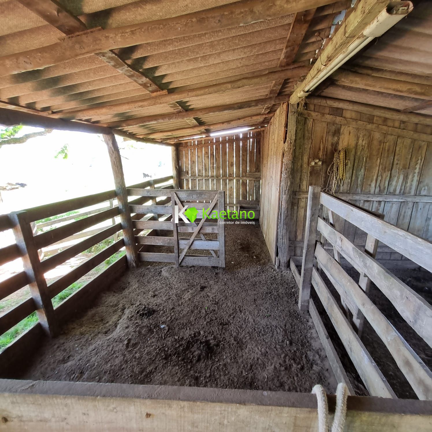 Fazenda à venda com 5 quartos, 200m² - Foto 10