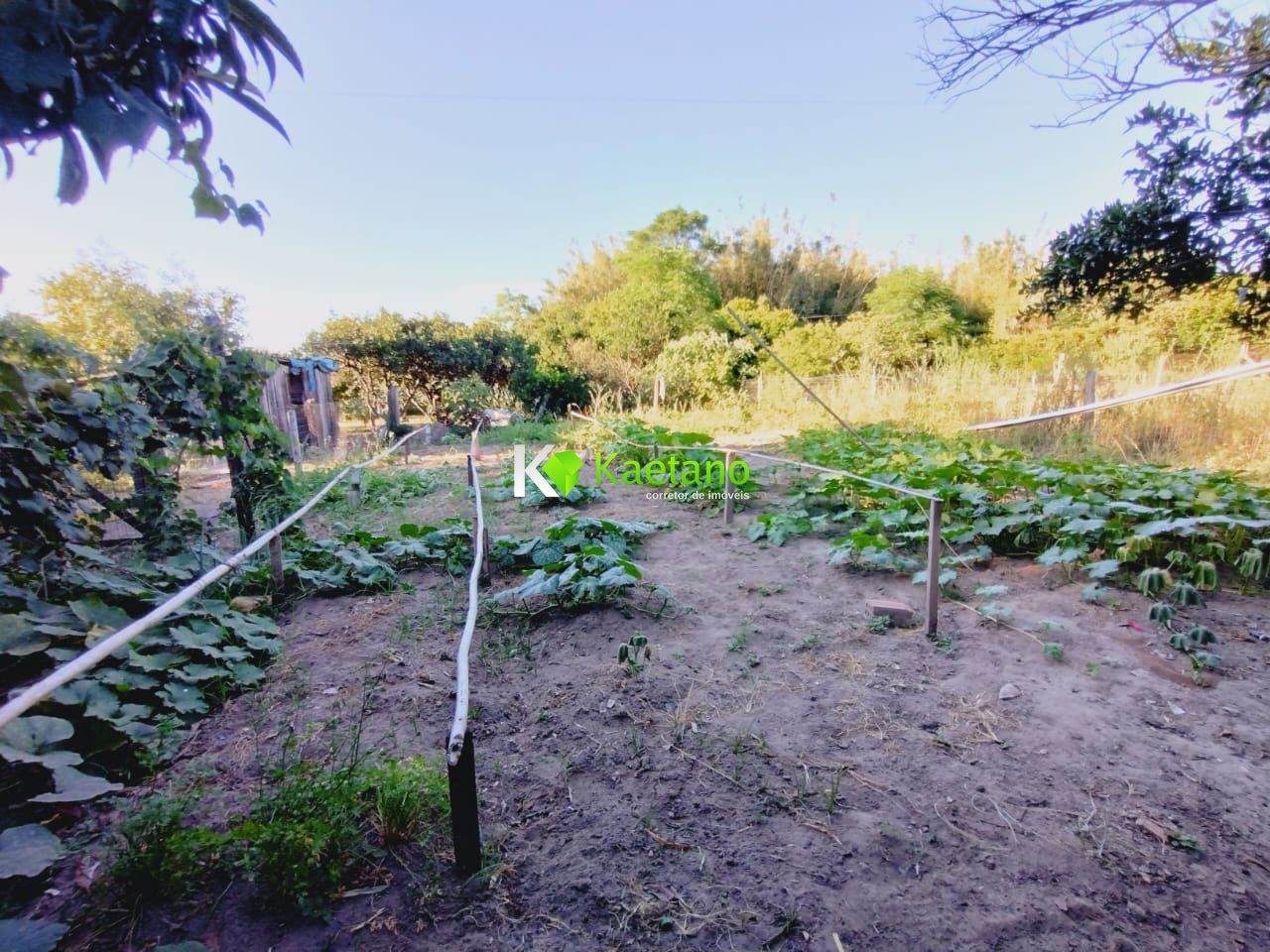 Fazenda à venda com 3 quartos, 100m² - Foto 17