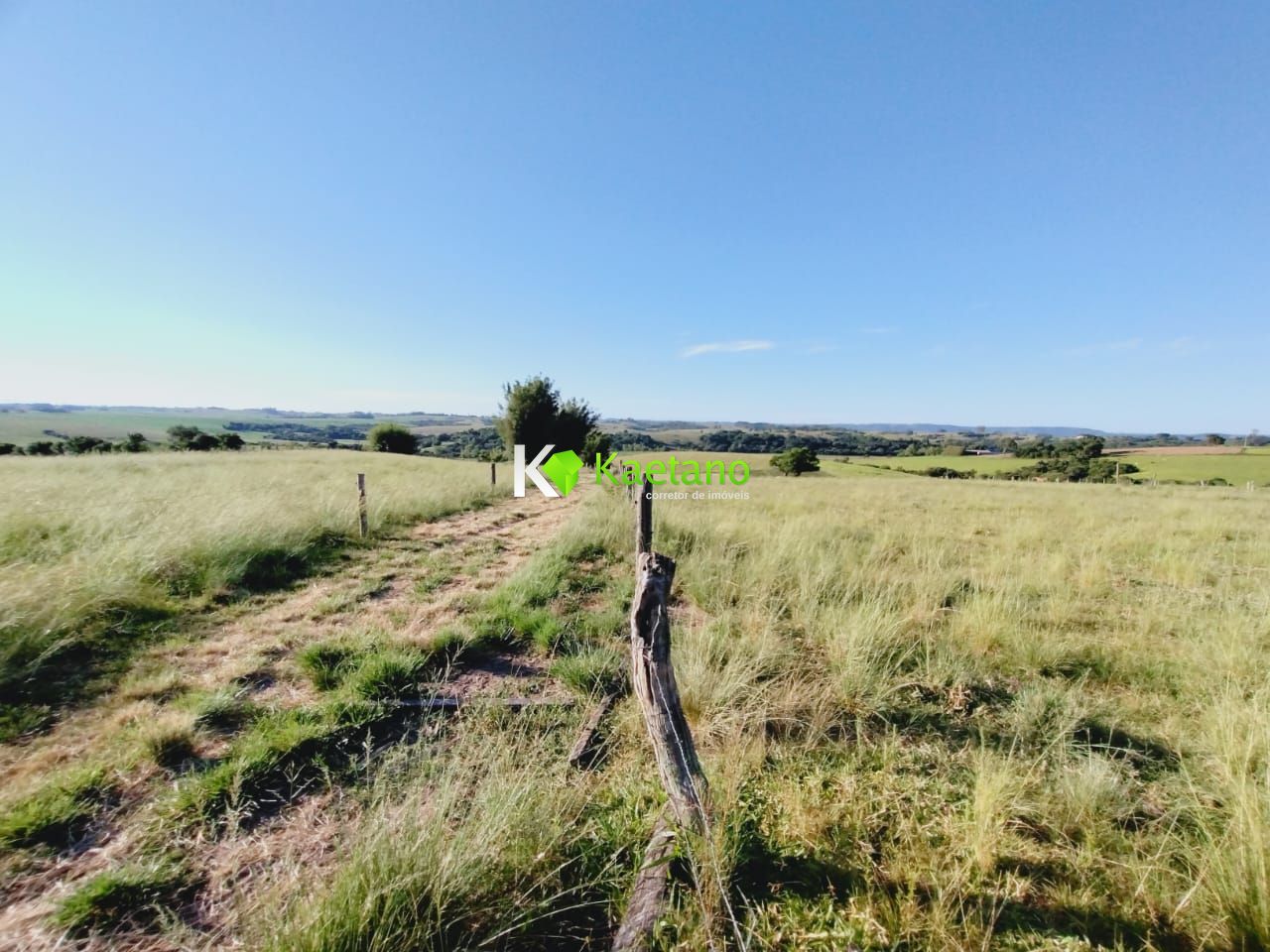 Fazenda à venda com 3 quartos, 100m² - Foto 21