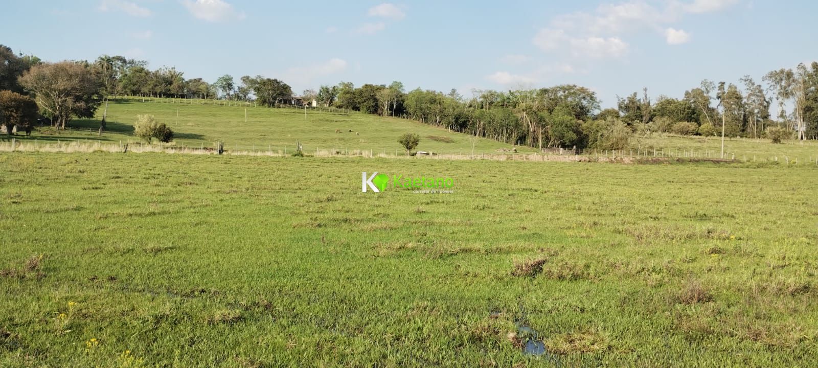 Fazenda à venda com 2 quartos, 50000m² - Foto 21