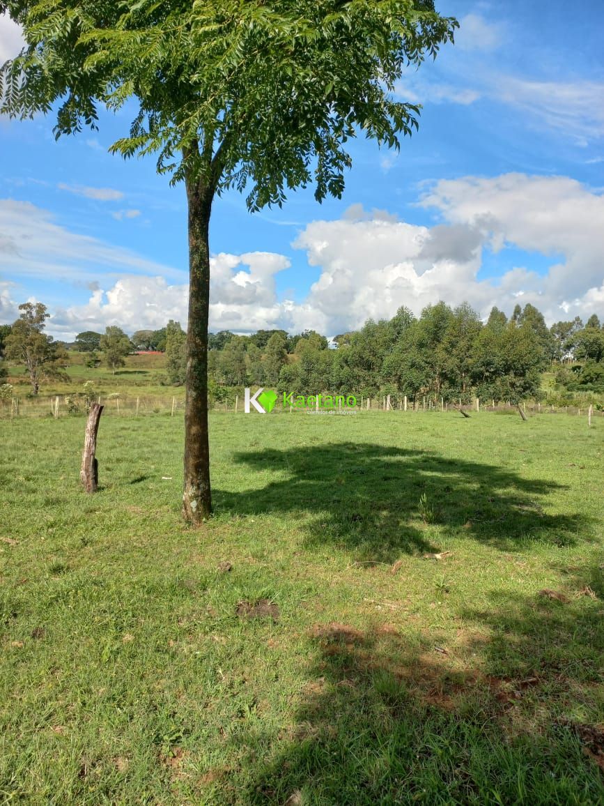 Fazenda à venda com 2 quartos, 100m² - Foto 6