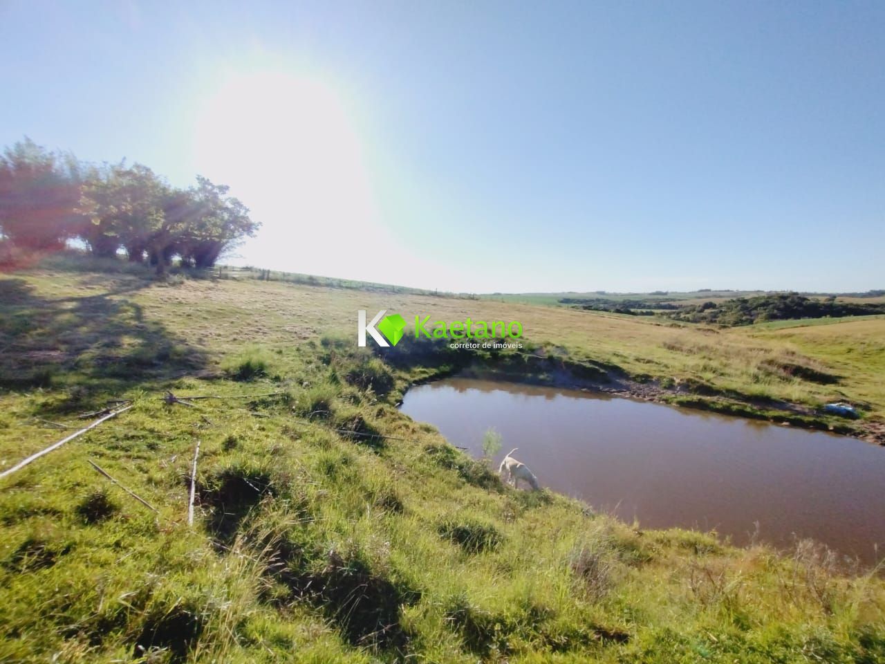 Fazenda à venda com 3 quartos, 100m² - Foto 12