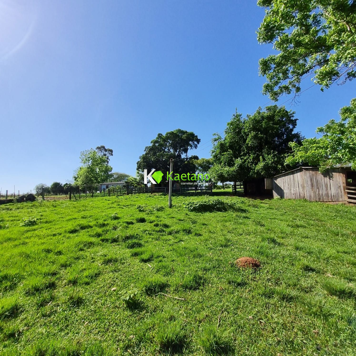 Fazenda à venda com 5 quartos, 200m² - Foto 26