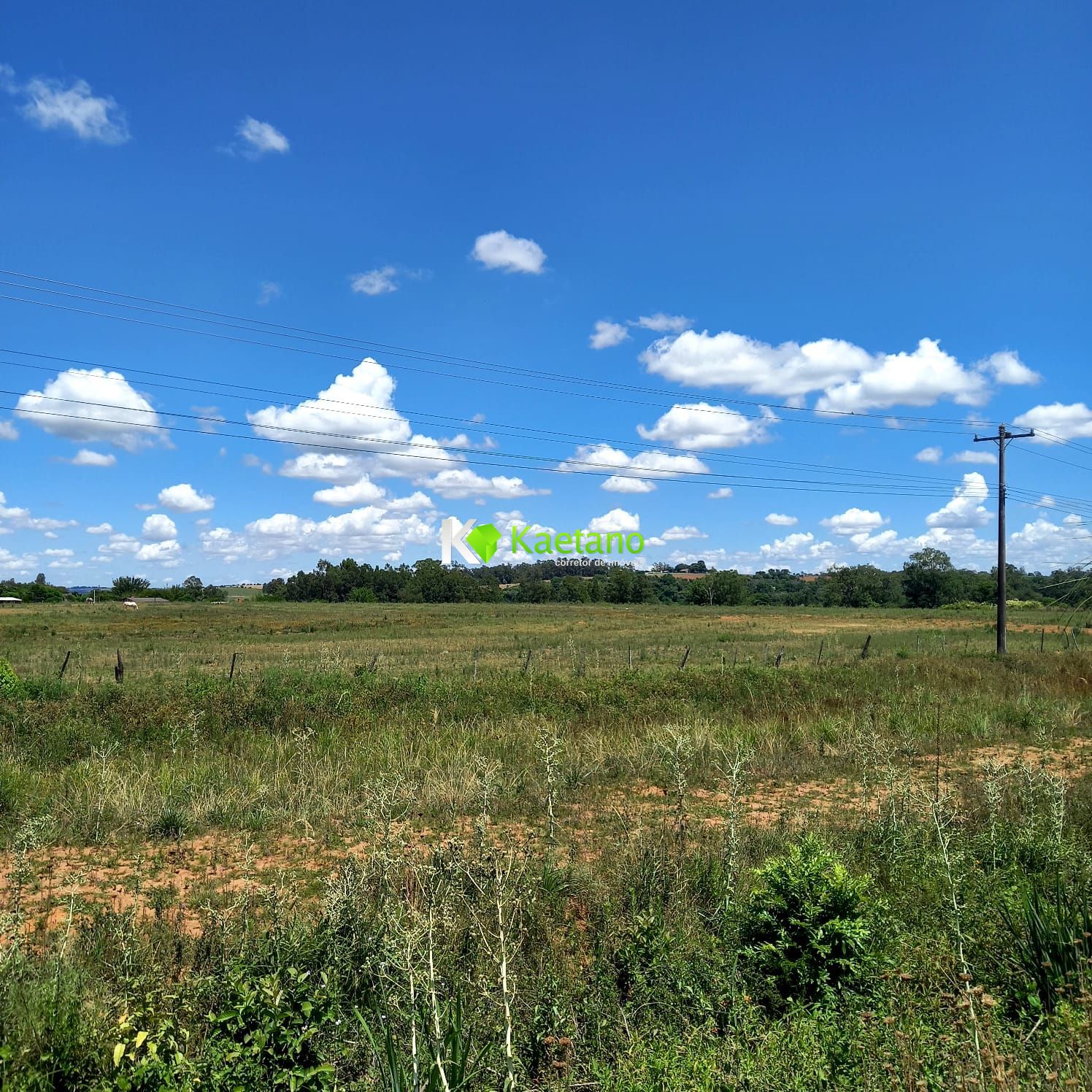 Loteamento e Condomínio à venda, 20000m² - Foto 11