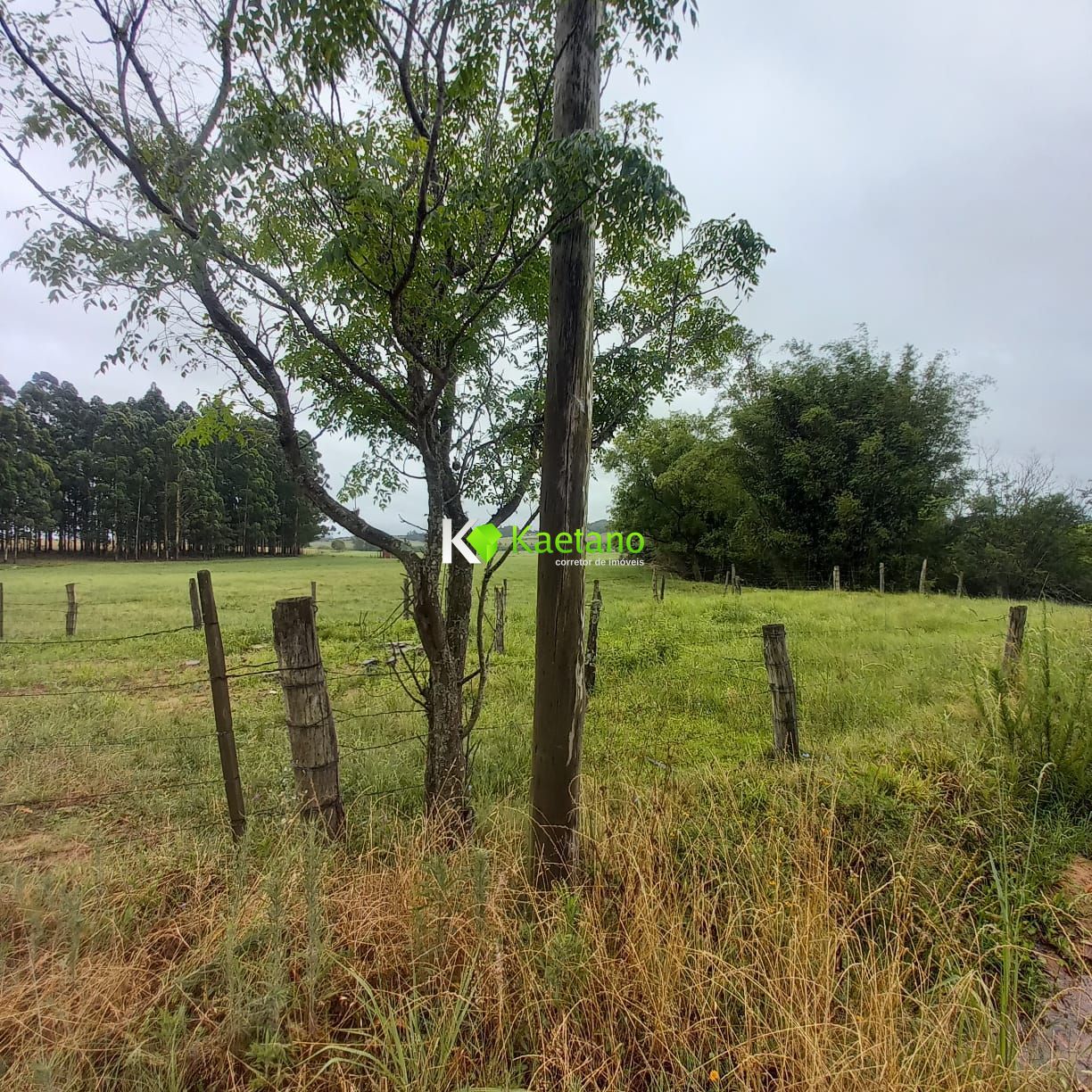 Loteamento e Condomínio à venda, 4000m² - Foto 3