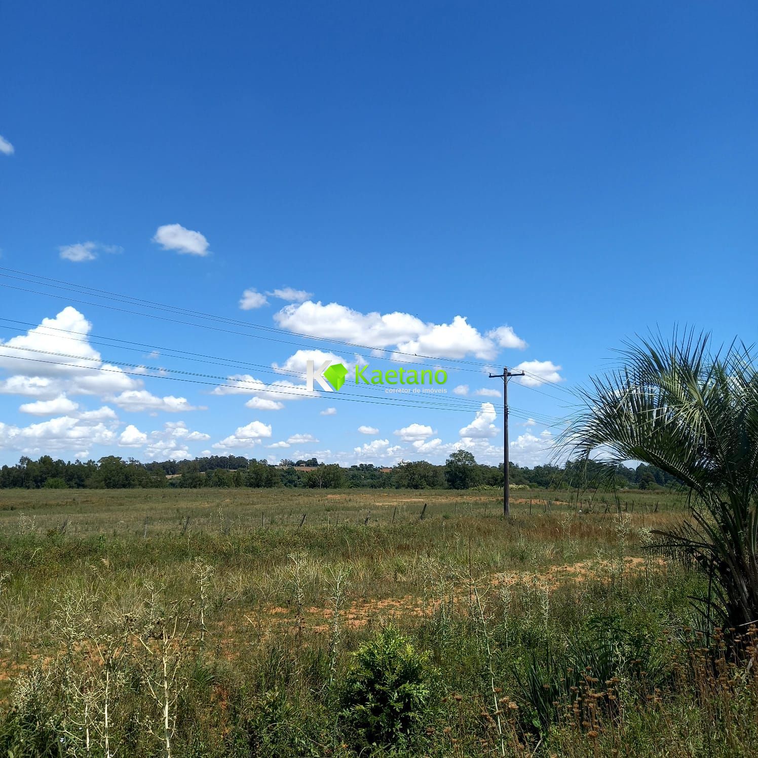 Loteamento e Condomínio à venda, 20000m² - Foto 10