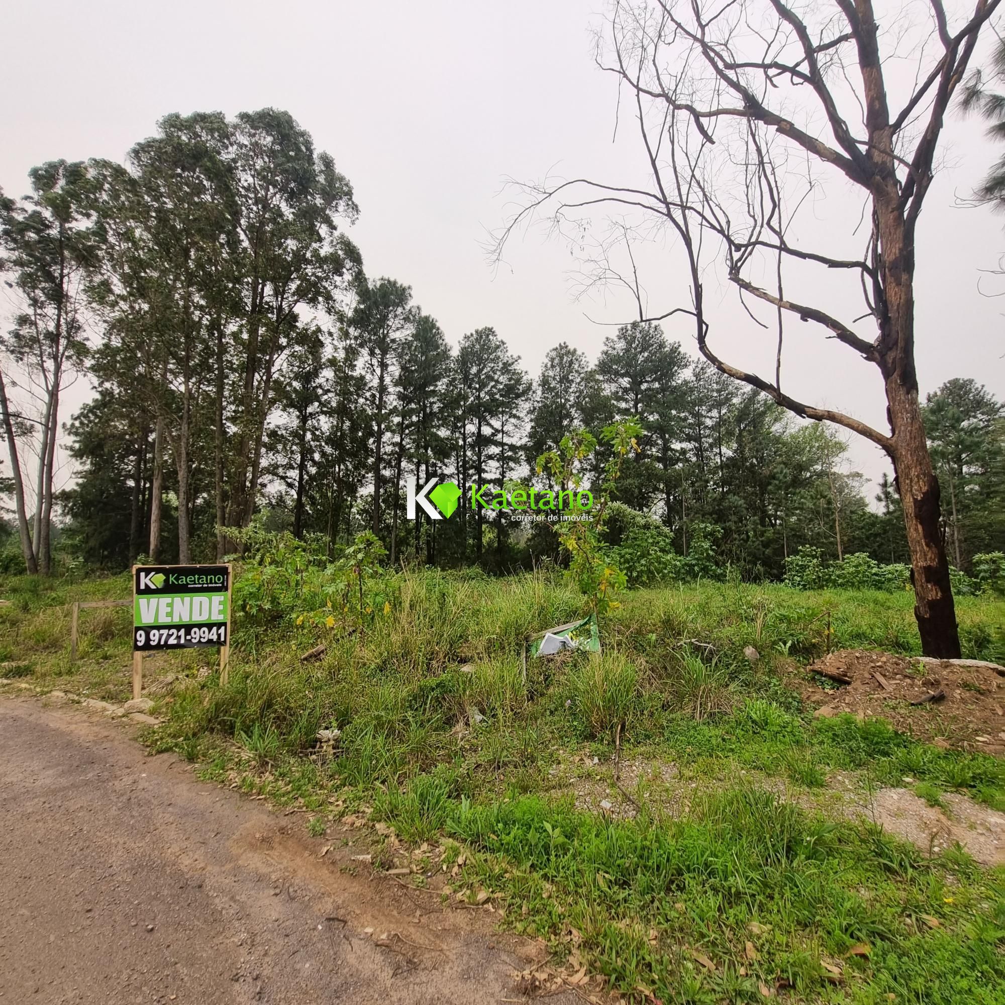 Terreno à venda, 70000m² - Foto 3