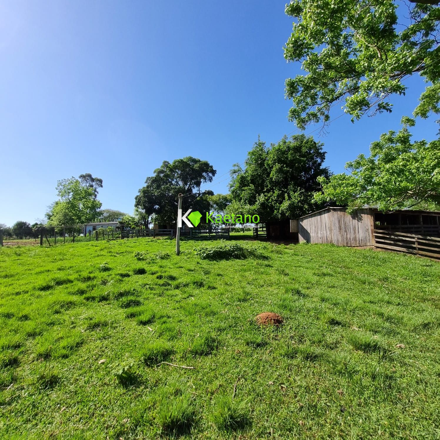 Fazenda à venda com 5 quartos, 200m² - Foto 6