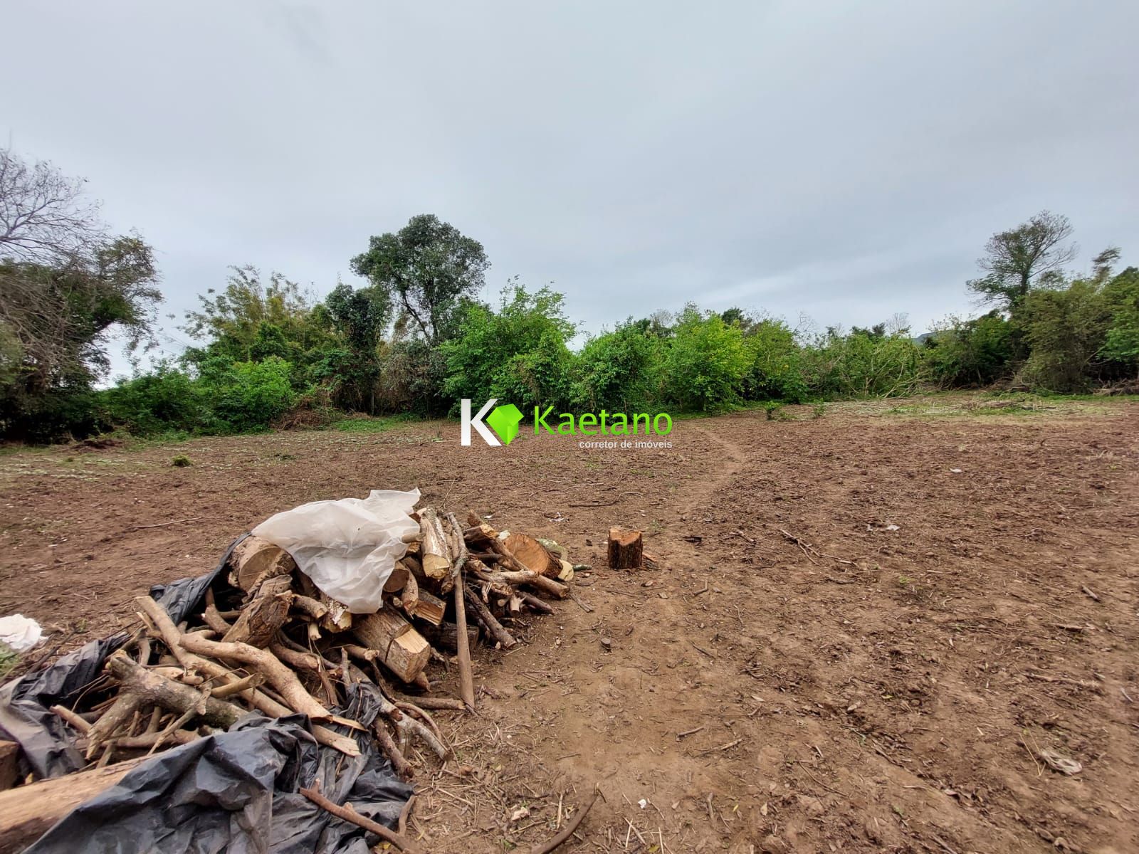 Fazenda à venda com 2 quartos, 80m² - Foto 16