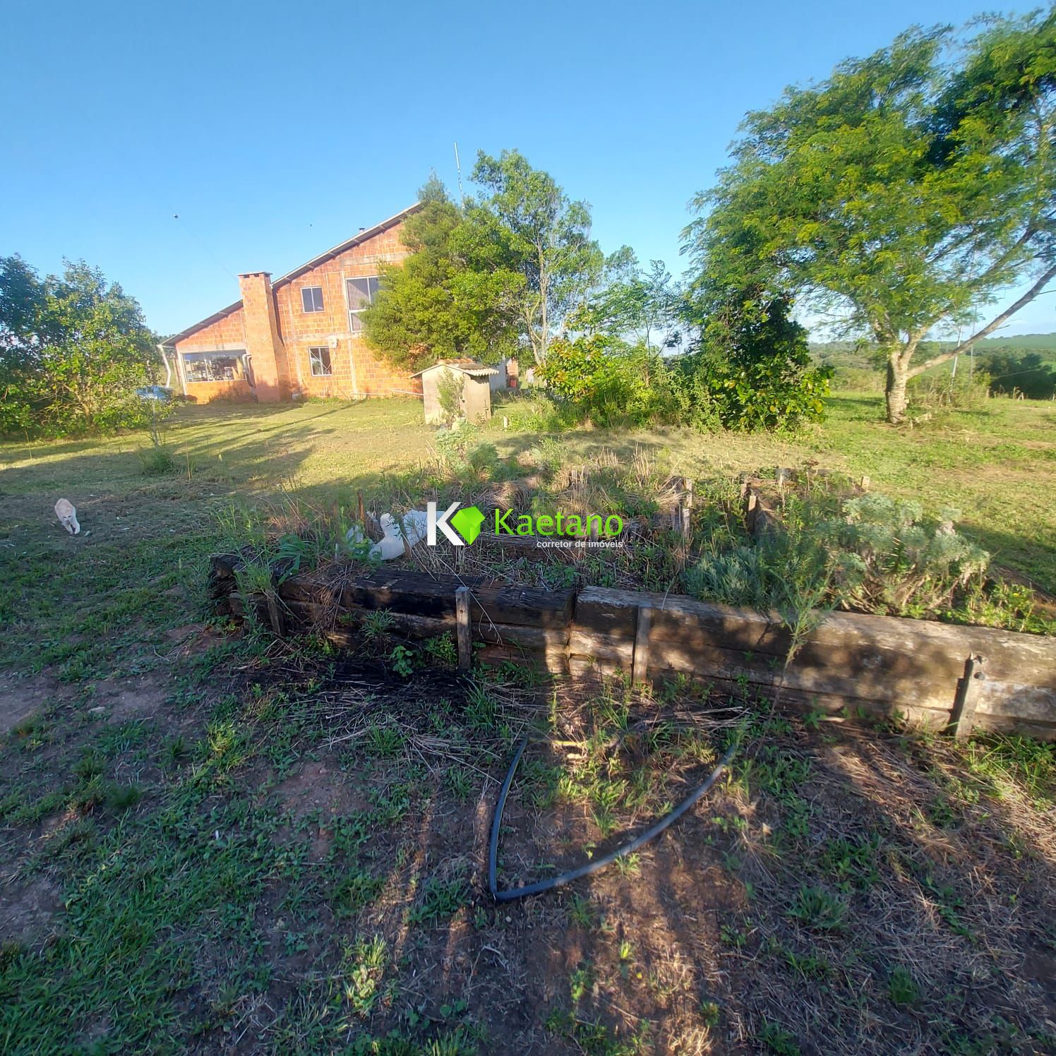 Fazenda à venda com 3 quartos, 210m² - Foto 15