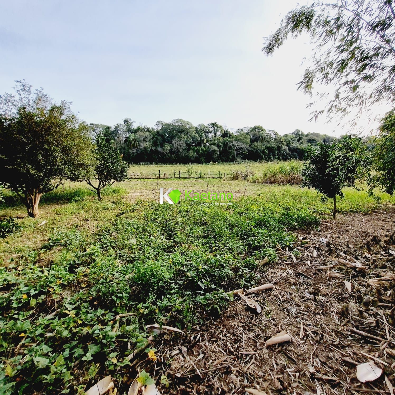 Fazenda à venda com 3 quartos, 120m² - Foto 18