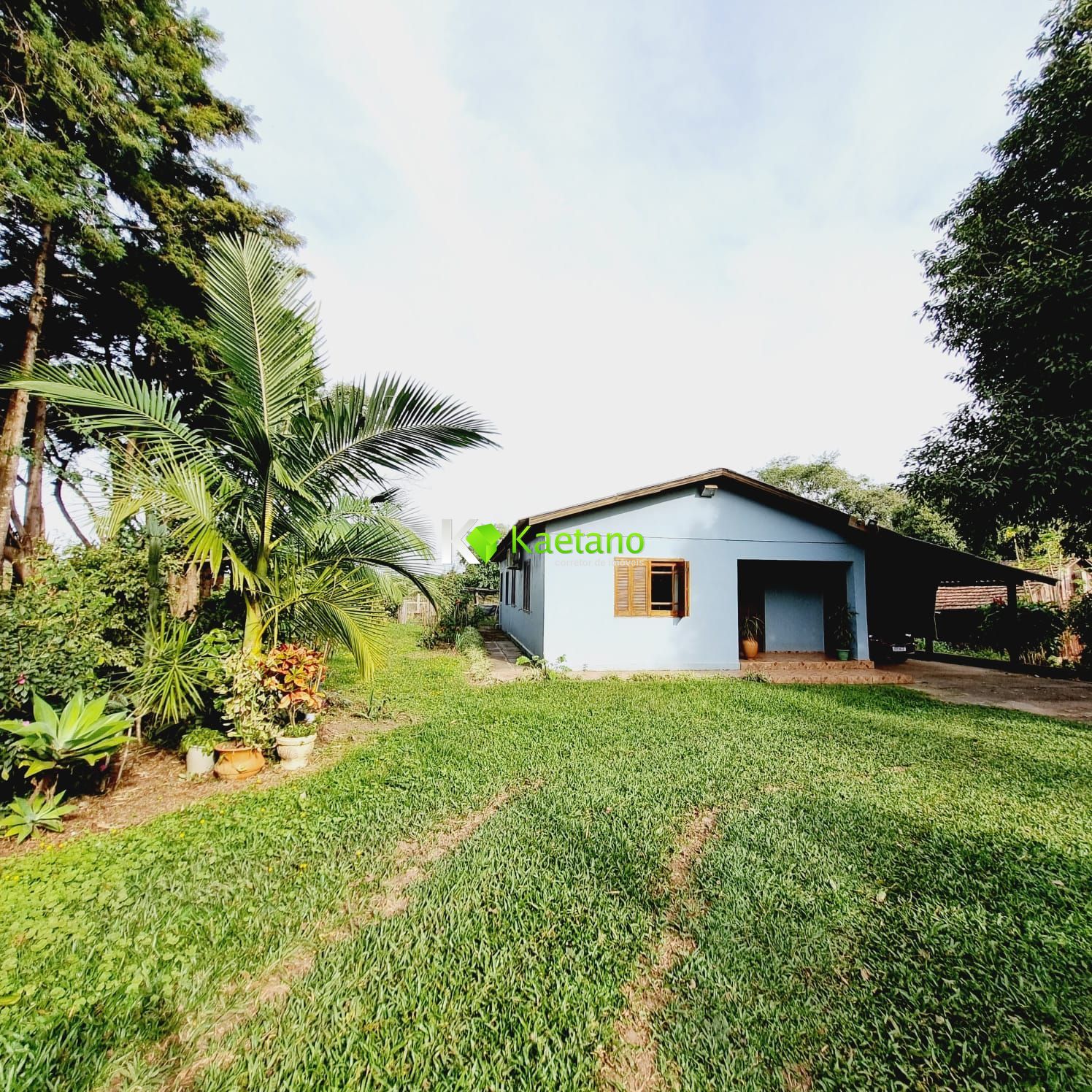 Fazenda à venda com 3 quartos, 120m² - Foto 2