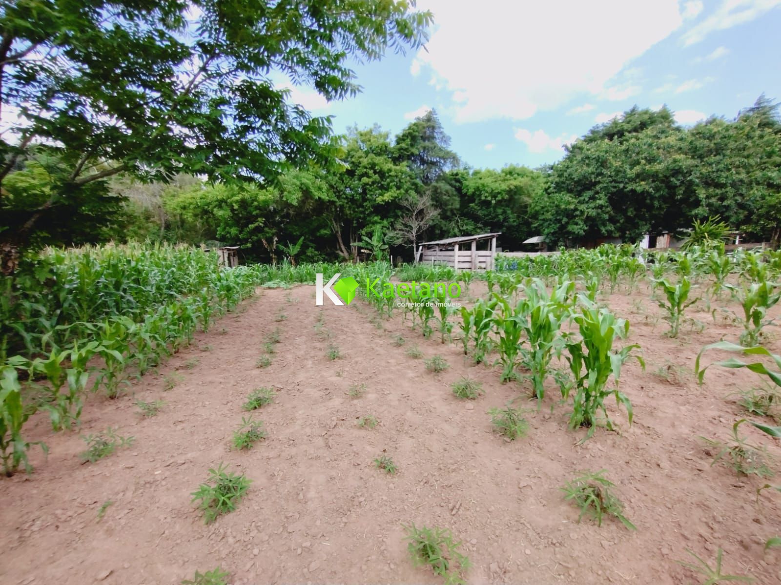 Fazenda à venda com 2 quartos, 100m² - Foto 12