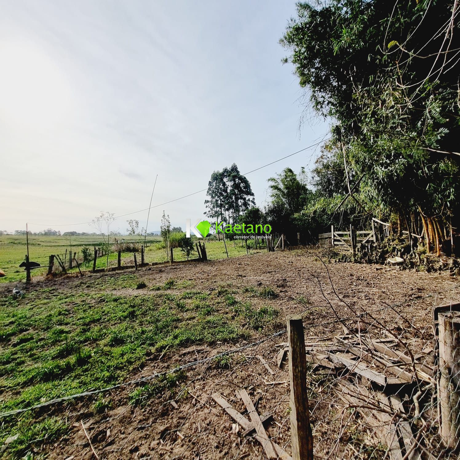 Fazenda à venda com 3 quartos, 120m² - Foto 16