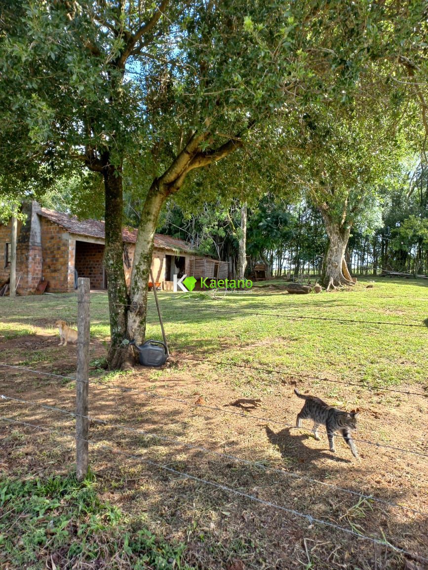 Fazenda à venda com 2 quartos, 100m² - Foto 19