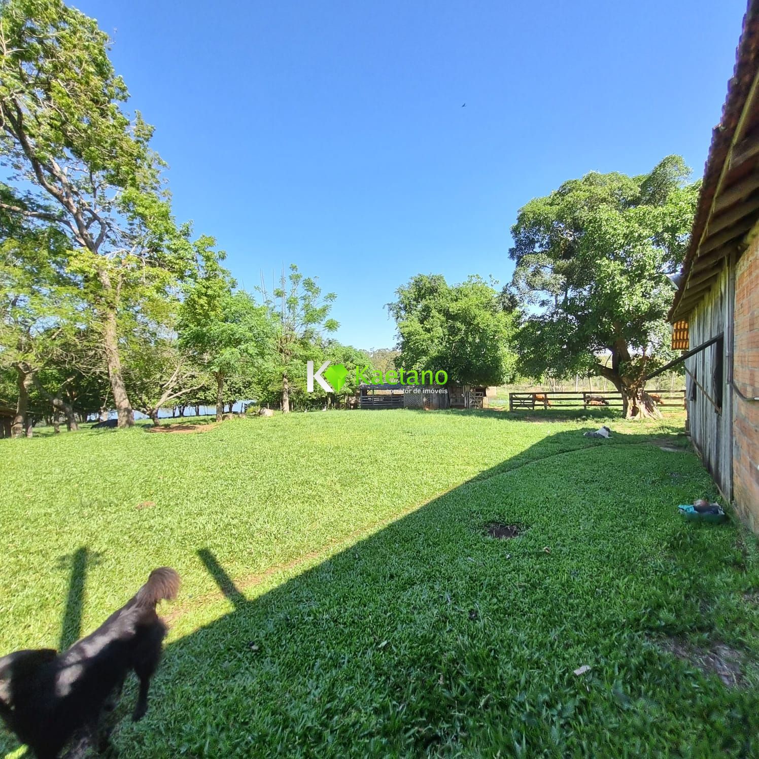 Fazenda à venda com 5 quartos, 200m² - Foto 4