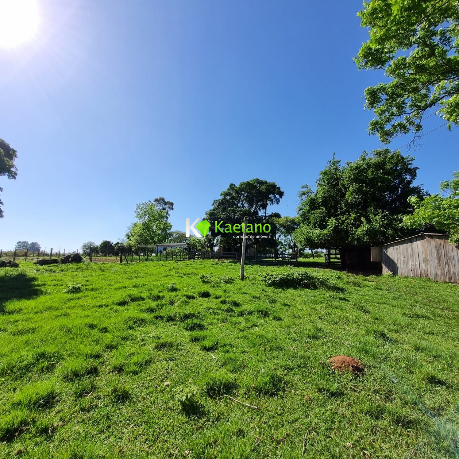 Fazenda à venda com 5 quartos, 200m² - Foto 18