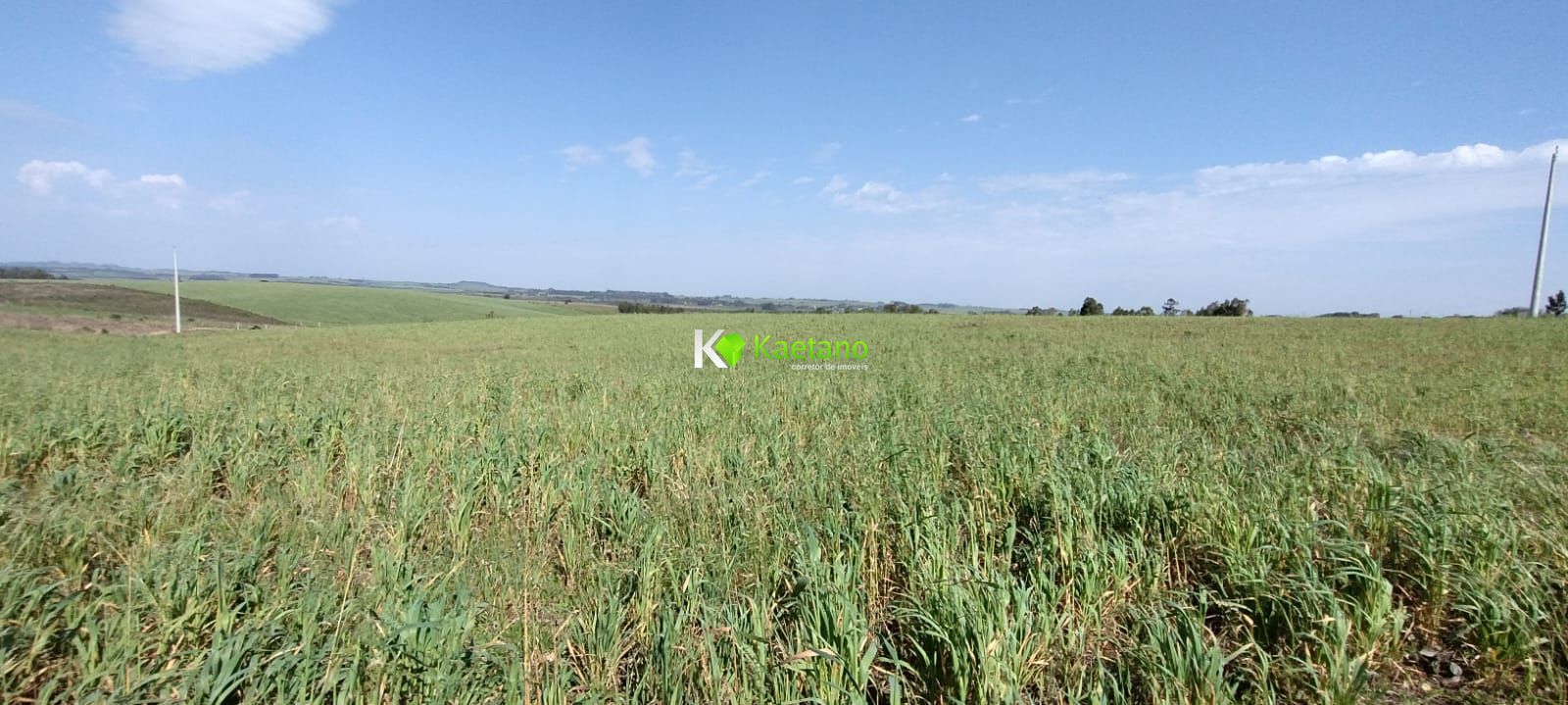 Loteamento e Condomínio à venda, 100m² - Foto 23