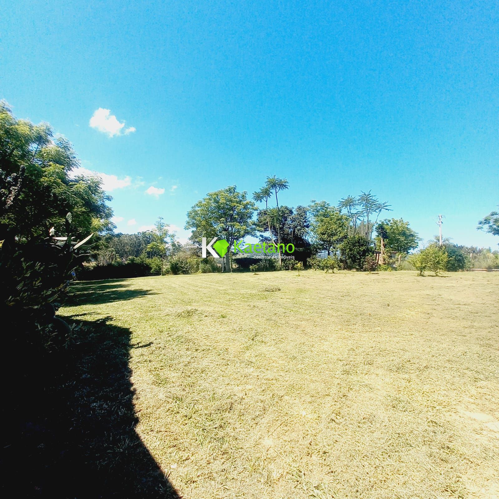 Fazenda à venda com 2 quartos, 125m² - Foto 16