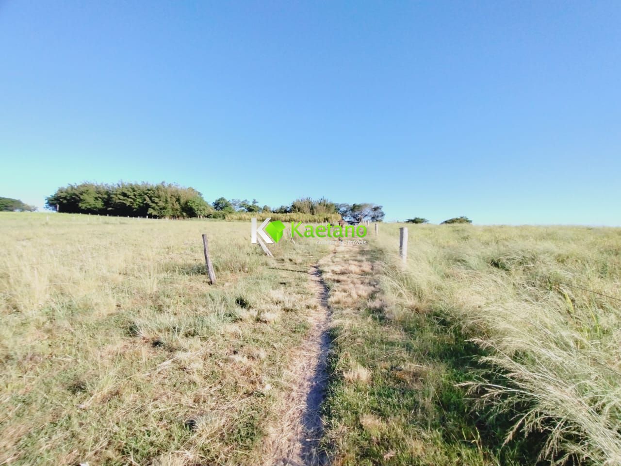 Fazenda à venda com 3 quartos, 100m² - Foto 14